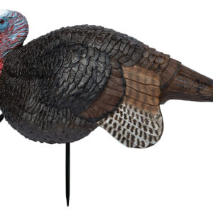 Primos 69074 Lil' Gobstopper Jake Turkey Species Multi Color