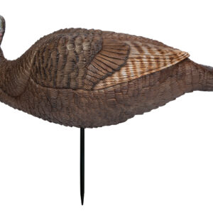 Primos 69073 Lil Gobstopper Hen Turkey Species Multi Color