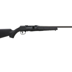 SAV A17 HVY BBL 17HMR SA 10RD