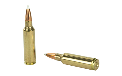 NOS60063_4.jpg