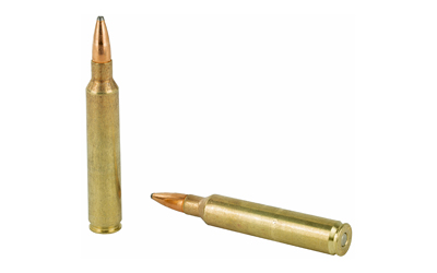 REM27641_4.jpg