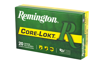 REM27826_3.jpg
