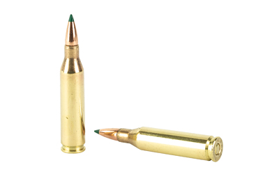 REM29015_4.jpg