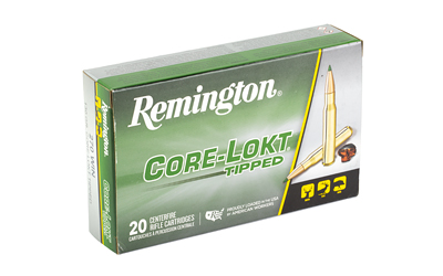 REM29019_2.jpg