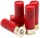 Shotgun Shells