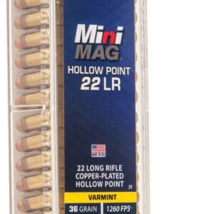 CCI 22 LR MINI MAG 36GR HP 100 RD/BX 50 BX/CS