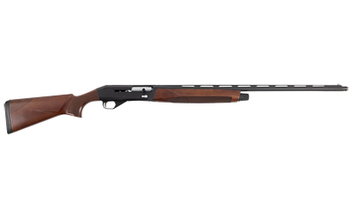 CZ06132_2