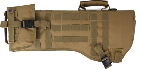 82026coy_fold_2
